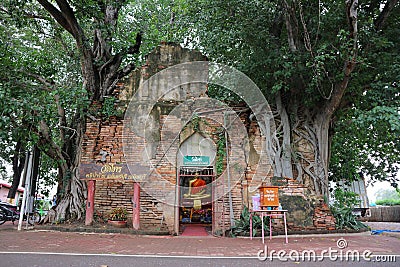 The roots of the trees that cover the old temple walls, Unseen, Thailand. Buddha image, nameplate Sai â€‹â€‹Temple Editorial Stock Photo